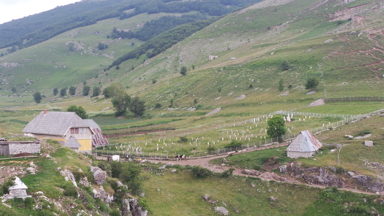 Bjelasnica Mountain44